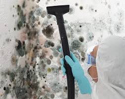 Best Biohazard Mold Removal  in Smith Mills, MA